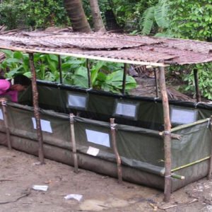 Portable Vermibeds