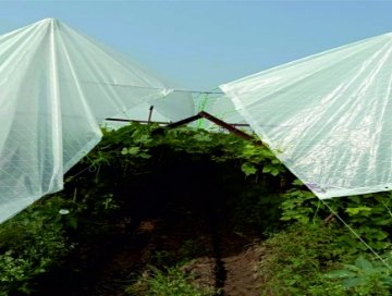 4hahPxxjZH9otY7KW80EnmAMYoZGgywDyO18MQok