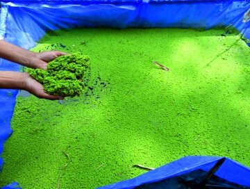 6r0J9IdPxcUMSikoKxDM67KcX784d7IyqNp5fcKS