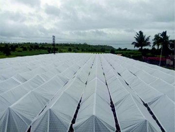 I1xYKkt8VqAyOKicK60ssa32GxP7yzFSYbFoDJG2