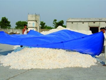 NHI03zSccC49CyrETT5O4jenXeE5OQ2f4p64bR20