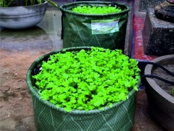 Oc5h8eJr6Su614ams4i78zVnZwwctstuyHi5PHGs