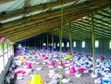 QkWq0NMsxktZNnzWSYWJR3NxCL9nlwEoc9LjFr6m