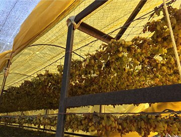 YF95aoyrFTUWgZ1g07vtr1pJfRRZEZveX5T2d8P1