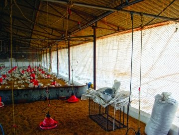 YaI2WACeIMXzuoOQdKjXx4B9e8rmpgitoLHbGYQX