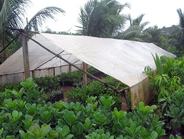 eZExEssY0D6HqumcgCxH1cXDhp2vqvcgzKyTit3H