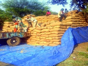 i0vtZcEd4ziMS5IzeguF4GmApbkL8rMHlGJYcKxP