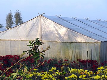 reLcs9vT05X9NRo9sgUPjktIQ7dsD3QS1dN1ioQa