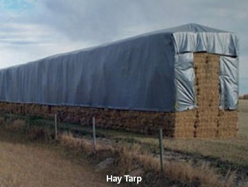 vbbqg5OnYSI3jGdF1vhNj8z5uTLcNkcBOl0RJKck