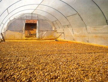 vw2VYUsrxBFXu42ddHyiqxtTrA3Ku5uejEHeRywP